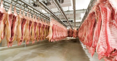 Stire din Economie : Sprijin pentru depozitarea privată  a cărnii de porc