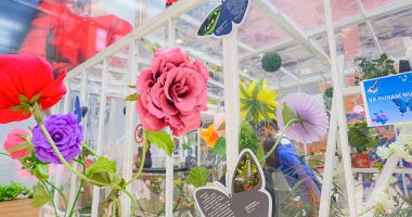City Park Mall Constanța revine cu două expoziții spectaculoase: fluturi tropicali și reptile exotice - 3
