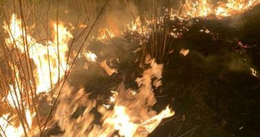 Stire din Eveniment : Pompierii au acționat 5 ore pentru stingerea unui incendiu de vegetație