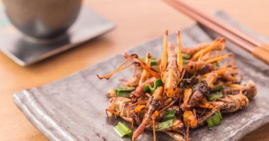Stire din Eveniment : Liber la consumul de insecte în UE! Decizia va fi luată în următoarele săptămâni