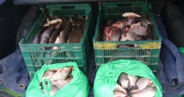 Stire din Eveniment : Braconieri în plasa Gărzii de Coastă