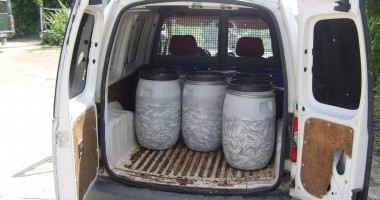 Sute de kilograme de pește, confiscate la Midia - 2