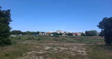 De la groapă la stadion. Au început cercetările arheologice pe amplasamentul arenei „Gheorghe Hagi” - 5