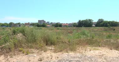 De la groapă la stadion. Au început cercetările arheologice pe amplasamentul arenei „Gheorghe Hagi” - 9