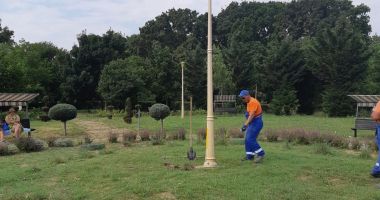 Stire din Social : Stâlpii de iluminat din Parcul Tăbăcărie, în revizie generală