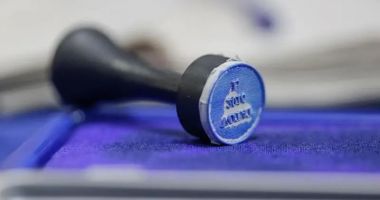 În diaspora, s-ar fi votat, la parlamentare, cu ștampila de la prezidențiale