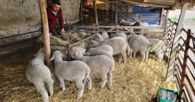 Viaţa la ţară, prin ochi de admirator. Lipniţa, comuna unde Dunărea "sărută" pământul - 10