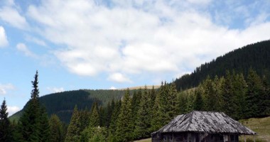 Stire din Diverse : Stâna de Vale,  o oază în inima Apusenilor