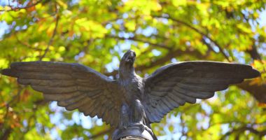 Primăria Municipiului Constanța a început lucrări de reparații și întreținere a statuilor din oraș - 2
