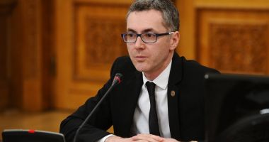 Stire din Politică-Administrație : Deputatul Stelian Ion: "Batjocura toaletării arborilor trebuie să înceteze"