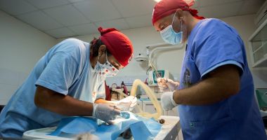 Stire din Eveniment : Campania de sterilizare gratuită a animalelor fără stăpân continuă la Agigea