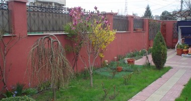 Vezi aici care sunt cele mai frumoase grădini ale Constanței | GALERIE FOTO - 5
