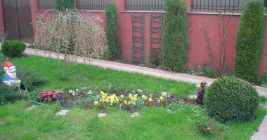Vezi aici care sunt cele mai frumoase grădini ale Constanței | GALERIE FOTO - 6