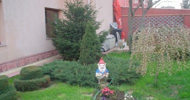 Vezi aici care sunt cele mai frumoase grădini ale Constanței | GALERIE FOTO - 7