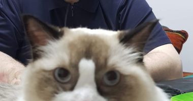 Stroe Felix: "Am învățat și am muncit mult și din greu. Dar am dovedit că se poate!" - 4