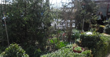 Vezi aici care sunt cele mai frumoase grădini ale Constanței | GALERIE FOTO - 11