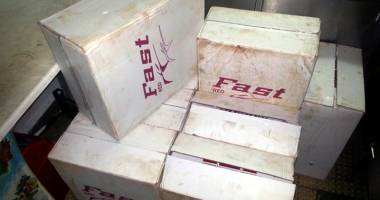 Pe viață și pe moarte! Atac al câinilor maidanezi sălbătici, în Constanța - 3