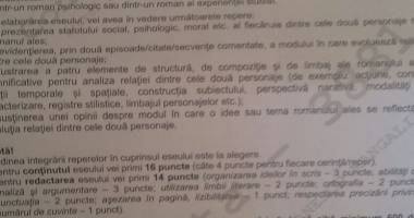 Simulare Bacalaureat clasa a XII-a / Ce subiecte au avut de rezolvat elevii din Constanța - 3