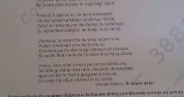 Simulare Bacalaureat clasa a XII-a / Ce subiecte au avut de rezolvat elevii din Constanța - 4