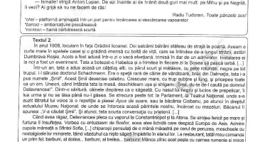 EVALUARE NAȚIONALĂ 2022. Iată ce subiecte au primit elevii astăzi la limba română - 3