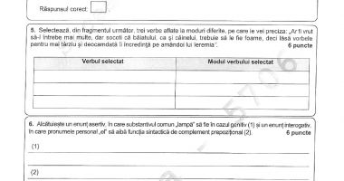 EVALUARE NAȚIONALĂ 2022. Iată ce subiecte au primit elevii astăzi la limba română - 7