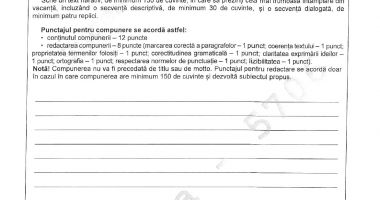 EVALUARE NAȚIONALĂ 2022. Iată ce subiecte au primit elevii astăzi la limba română - 8