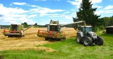 Stire din Economie : Agricultorii vor primi subvenția maximă: 170 euro la hectar