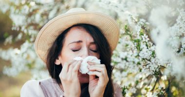Stire din Sănătate : Suferi de alergii? Alege un cortizon natural: coacăzele negre