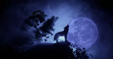 Stire din Actualitate : Spectacol pe cer în a treia noapte a anului 2026. Superstiții legate de ”Luna Lupului”