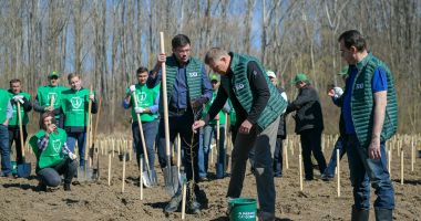 Stire din Economie : Suprafața împădurită a României e în ușoară creștere