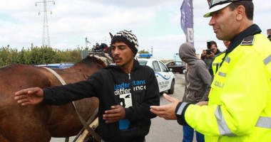 Stire din Eveniment : Constanța căruțelor! Cum încearcă polițiștii să oprească armăsarul cu girofarul - Galerie FOTO