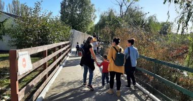 Stire din Social : Microrezervaţia se degradează văzând cu ochii. "De trei ani de zile s-au făcut numai cârpeli"