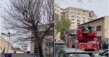 Stire din Eveniment : Susținătorii lui Călin Georgescu s-au urcat în copacii de la arestul central și protestează pentru Bogdan Peșchir