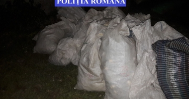 Sute de litri  de motorină  și trofee de cerb, confiscate  de polițiști - 2