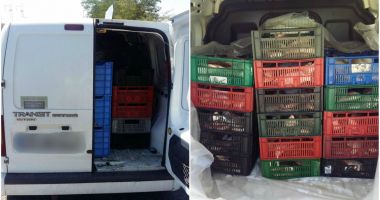Stire din Eveniment : Sute de kilograme de pește braconat, confiscate de polițiștii de frontieră