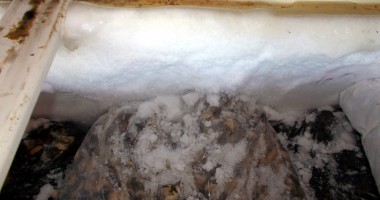Sute de kilograme de melci de mare, confiscate de Garda de Coastă - 4