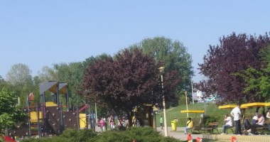 Stire din Social : Contribuie și tu  la ecologizarea parcului Tăbăcăriei