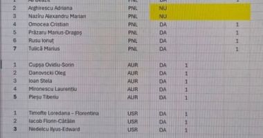 S-a decis ce se întâmplă cu taxa de 200 de lei plătită de proprietarii de autoturisme. Iată cum a votat fiecare consilier! - 2