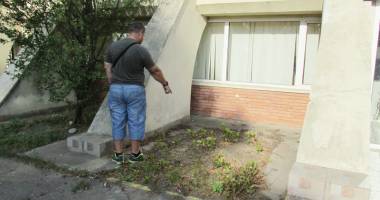 Tăieri de copaci cu scandal, în Constanța. "Chiar dacă un copac este verde,  nu înseamnă că nu prezintă un pericol" - 2