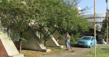 Stire din Social : Tăieri de copaci cu scandal, în Constanța. "Chiar dacă un copac este verde,  nu înseamnă că nu prezintă un pericol"
