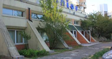 Tăieri de copaci cu scandal, în Constanța. "Chiar dacă un copac este verde,  nu înseamnă că nu prezintă un pericol" - 3
