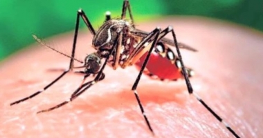 Stire din Sănătate : Situație alarmantă! S-a dublat numărul de avorturi din cauza virusului Zika