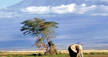 Stire din Diverse : Vacanță pe bani mulți! Descoperă Tanzania și Zanzibar