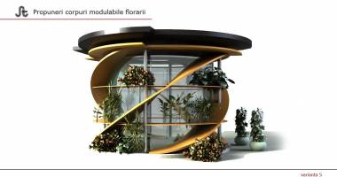 Ce proiect de hotărâre a depus consilierul municipal Iustin Fabian Roman - 2