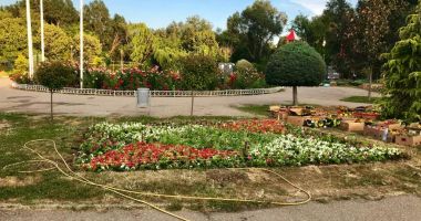 Stire din Social : "Țara Piticilor", colorată cu peste 30.000 de flori