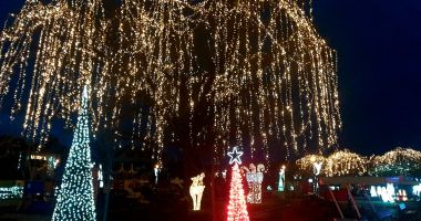 Decoruri de sărbătoare, la Ţara Piticilor din Tăbăcărie. Program extins la parcul de distracţii - 3