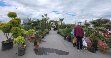Spectacolul grădinilor în sărbătoare! Constănţenii, invitaţi, în weekend, la "Piaţa de Flori" - 3