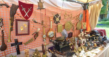 GALERIE FOTO. Târg de antichități în Piața Ovidiu - 4