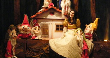 Stire din Cultură-Educație : Spectacole pentru cei mici, la Teatrul pentru Copii și Tineret "Căluțul de Mare"