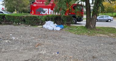 Stire din Politică-Administrație : Administraţia locală din Techirghiol demarează un program de colectare a deşeurilor voluminoase